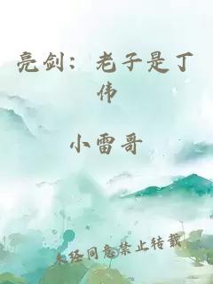 亮剑:老子是丁伟