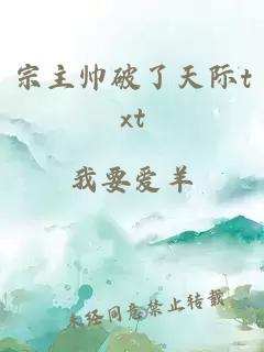 宗主帅破了天际txt
